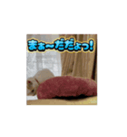 動くHARORI②（個別スタンプ：7）