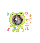 シェルティ チェリーちゃん⑮（個別スタンプ：1）