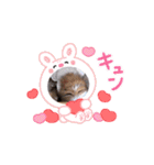 シェルティ チェリーちゃん⑮（個別スタンプ：2）