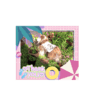 シェルティ チェリーちゃん⑮（個別スタンプ：11）
