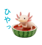 日常系ウーパールーパー（個別スタンプ：1）