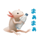 日常系ウーパールーパー（個別スタンプ：3）