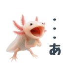 日常系ウーパールーパー（個別スタンプ：4）