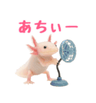 日常系ウーパールーパー（個別スタンプ：5）
