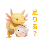日常系ウーパールーパー（個別スタンプ：15）