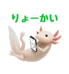日常系ウーパールーパー（個別スタンプ：20）