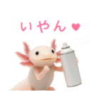 日常系ウーパールーパー（個別スタンプ：23）