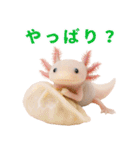 日常系ウーパールーパー（個別スタンプ：29）