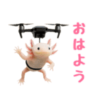 日常系ウーパールーパー（個別スタンプ：35）
