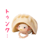 日常系ウーパールーパー（個別スタンプ：39）