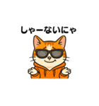 猫三郎スタンプ（個別スタンプ：21）