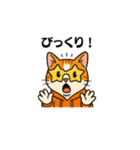 猫三郎スタンプ（個別スタンプ：24）