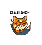 猫三郎スタンプ（個別スタンプ：38）