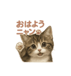 子ネコverマンチカン（個別スタンプ：2）