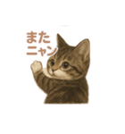 子ネコverマンチカン（個別スタンプ：9）