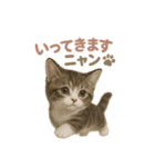 子ネコverマンチカン（個別スタンプ：14）