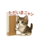 子ネコverマンチカン（個別スタンプ：22）