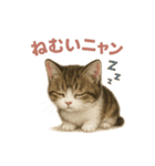 子ネコverマンチカン（個別スタンプ：24）