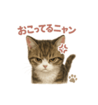 子ネコverマンチカン（個別スタンプ：25）