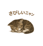 子ネコverマンチカン（個別スタンプ：30）