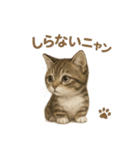 子ネコverマンチカン（個別スタンプ：31）
