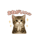 子ネコverマンチカン（個別スタンプ：34）
