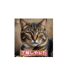 表情ゆたかな感情ねこスタンプ（個別スタンプ：1）