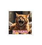 表情ゆたかな感情ねこスタンプ（個別スタンプ：3）