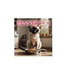 表情ゆたかな感情ねこスタンプ（個別スタンプ：9）
