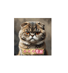 表情ゆたかな感情ねこスタンプ（個別スタンプ：12）