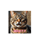 表情ゆたかな感情ねこスタンプ（個別スタンプ：14）