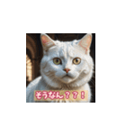 表情ゆたかな感情ねこスタンプ（個別スタンプ：17）