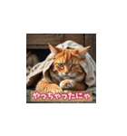 表情ゆたかな感情ねこスタンプ（個別スタンプ：19）