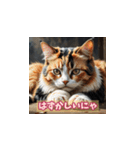 表情ゆたかな感情ねこスタンプ（個別スタンプ：20）