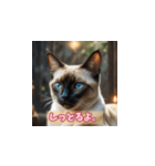 表情ゆたかな感情ねこスタンプ（個別スタンプ：24）