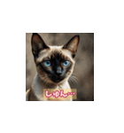 表情ゆたかな感情ねこスタンプ（個別スタンプ：36）
