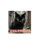 表情ゆたかな感情ねこスタンプ（個別スタンプ：40）