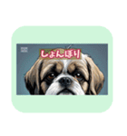 表情ゆたかな感情いぬスタンプ（個別スタンプ：6）