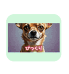 表情ゆたかな感情いぬスタンプ（個別スタンプ：8）