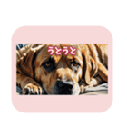 表情ゆたかな感情いぬスタンプ（個別スタンプ：10）