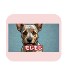 表情ゆたかな感情いぬスタンプ（個別スタンプ：11）