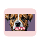 表情ゆたかな感情いぬスタンプ（個別スタンプ：15）