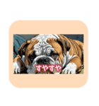 表情ゆたかな感情いぬスタンプ（個別スタンプ：27）