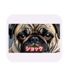 表情ゆたかな感情いぬスタンプ（個別スタンプ：36）