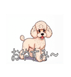 スタンダードプードルがいっぱい（個別スタンプ：5）