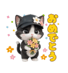 可愛いハチワレ猫 ずっと使える 大きめ文字（個別スタンプ：9）