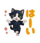 可愛いハチワレ猫 ずっと使える 大きめ文字（個別スタンプ：11）