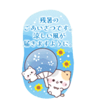 【BIG長文】夏の丁寧なご挨拶★ぷにゃんこ（個別スタンプ：12）