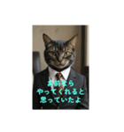 全肯定ヌコ（個別スタンプ：2）