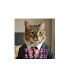 全肯定ヌコ（個別スタンプ：3）